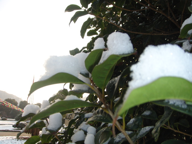 12012512470e08038599d88a15.jpg