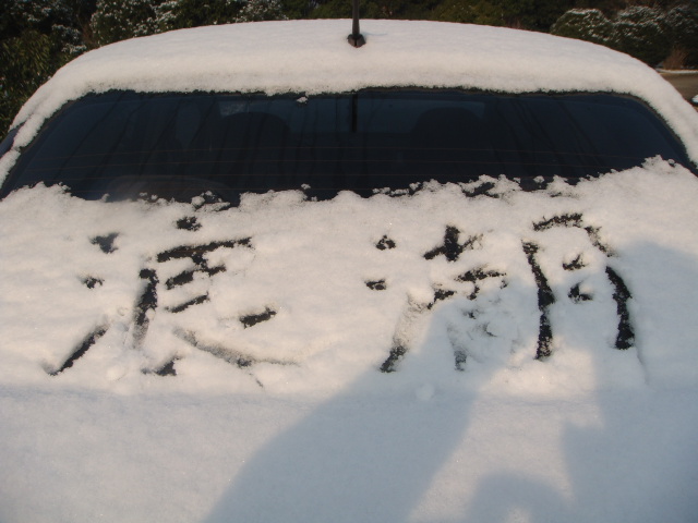 1201251157caeec972d4ca53fb.jpg