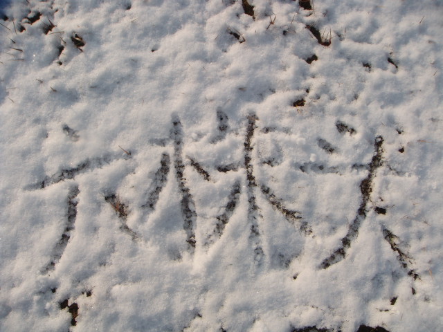 12012512134c7f4d83c119a897.jpg