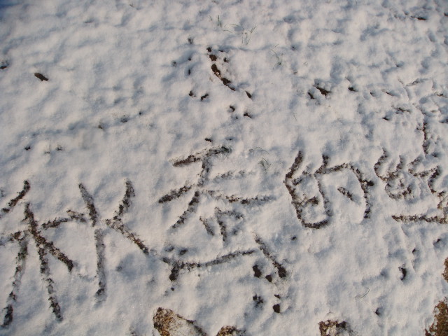 1201251213253d3a092c8dfcb9.jpg
