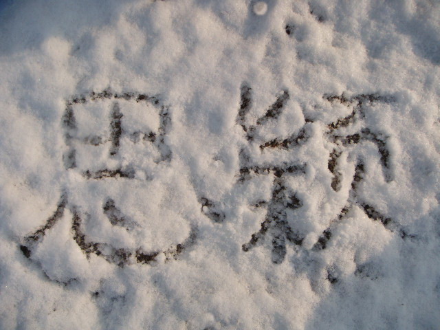 1201251206006e00b0988c5863.jpg