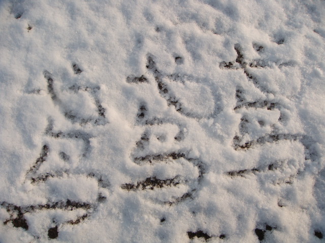 120125120252cb09eac329f3bc.jpg