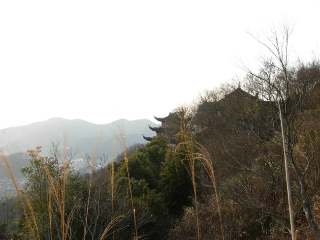10天王寺.JPG