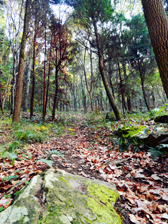 DSC00055_副本_副本.jpg