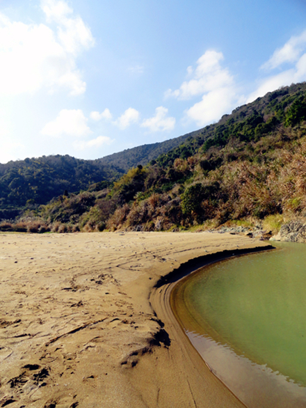 DSC00115_副本_副本.jpg