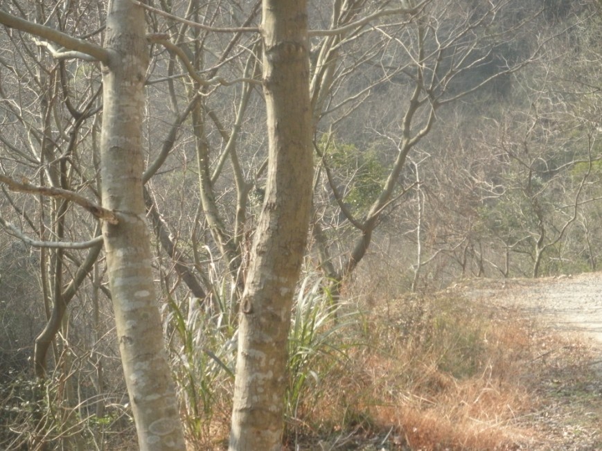 牛丈岙23.jpg