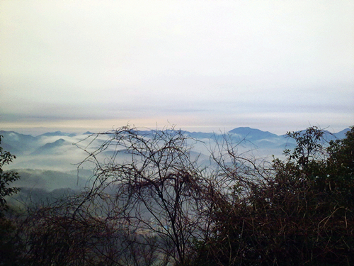 20120222375_副本.jpg