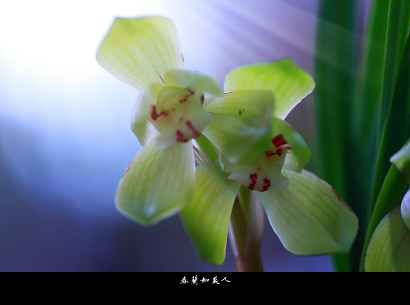 IMG_0111_副本.jpg
