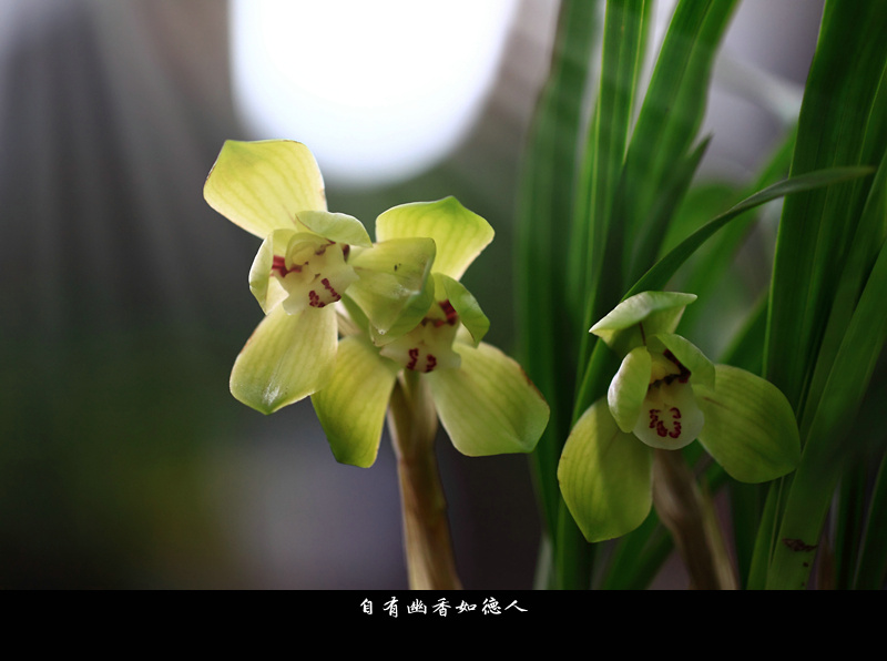 IMG_0112_副本.jpg