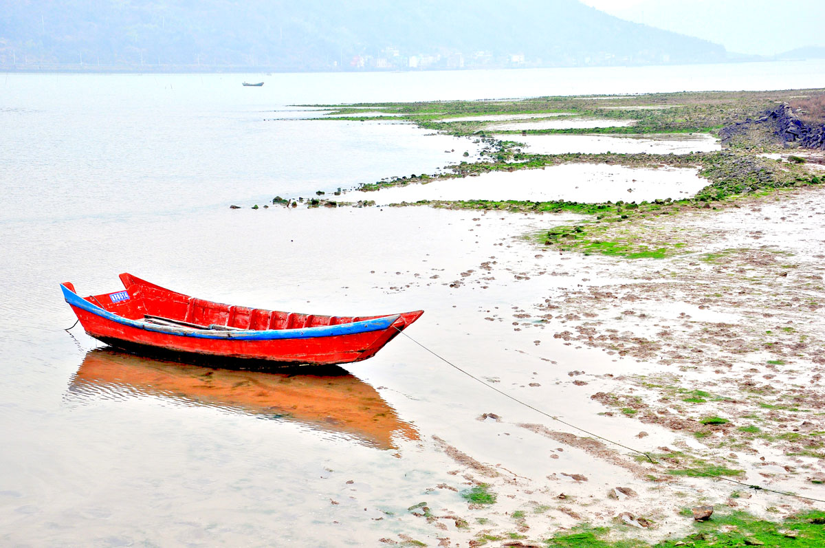 DSC_0132PSF.jpg