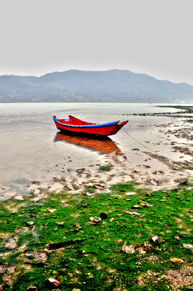 DSC_0135PSF.jpg