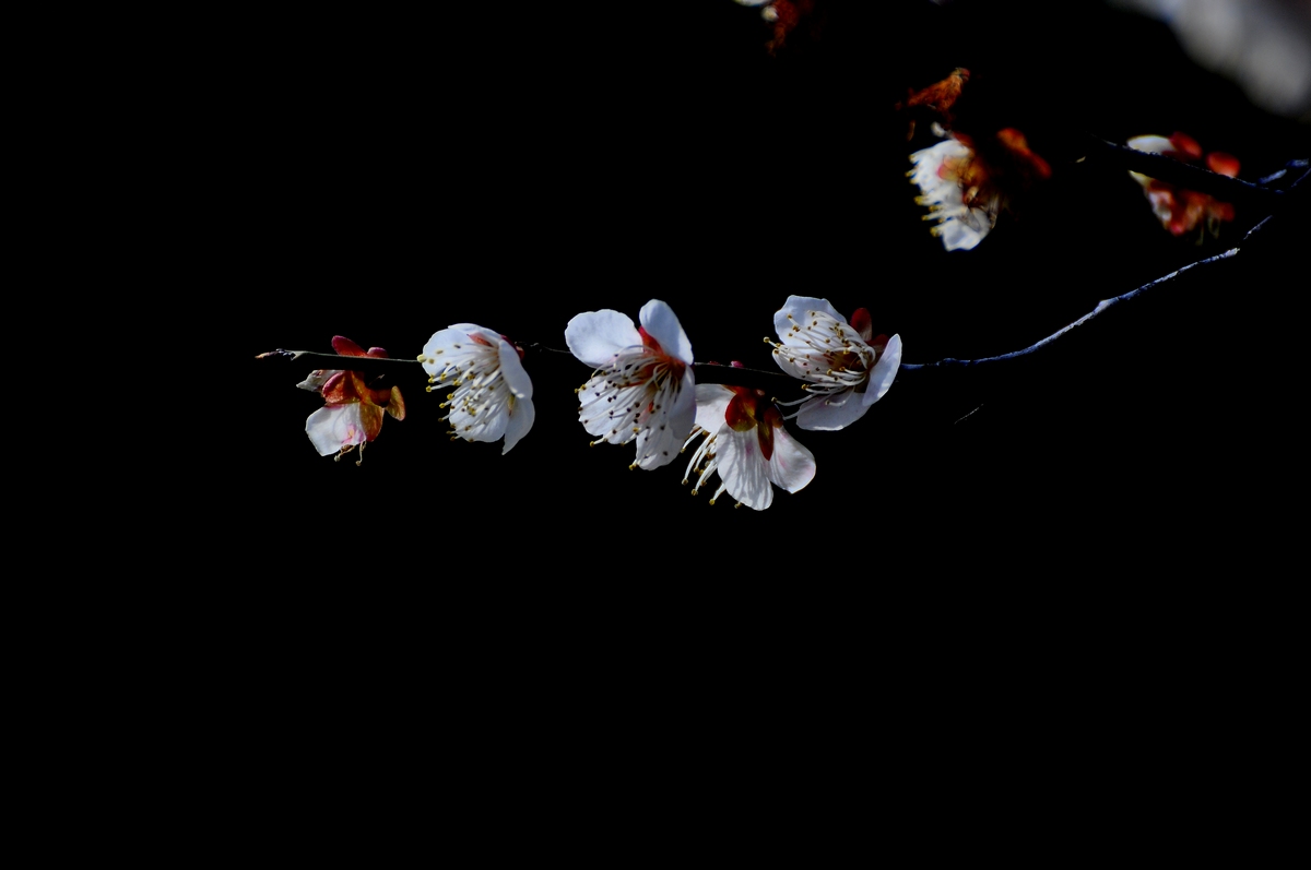 DSC_5749f.jpg
