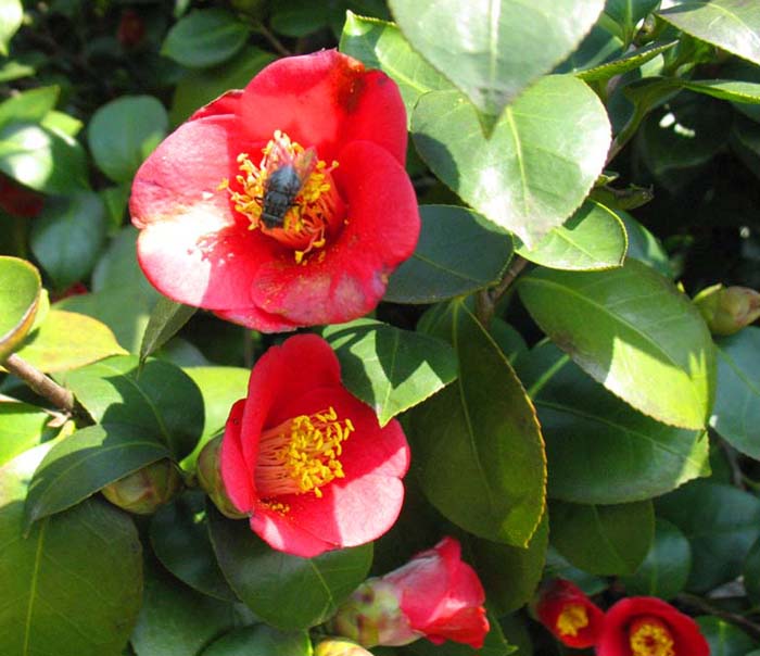 照片 043.jpg