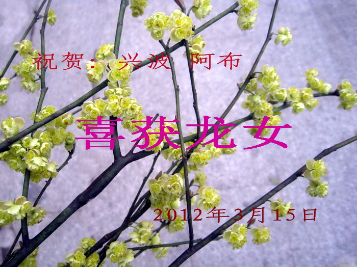 IMG_2776.jpg