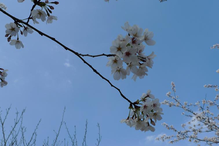 P1020846.JPG