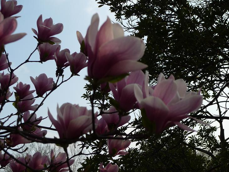 P1020969.JPG