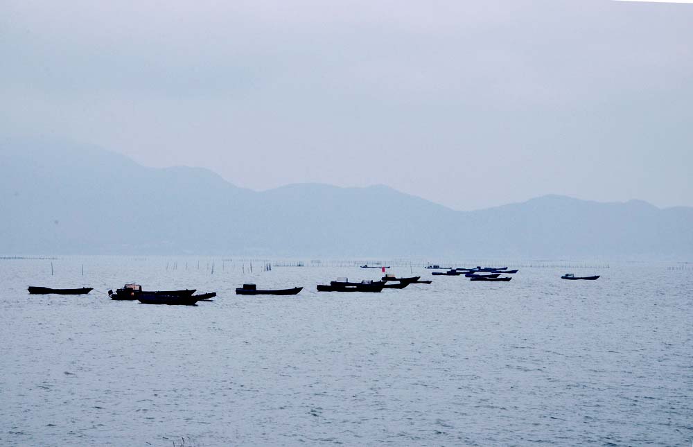 DSC_0033.jpg