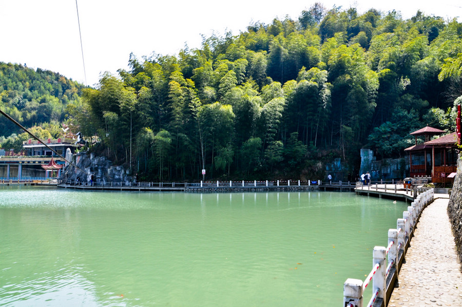DSC_0138.jpg
