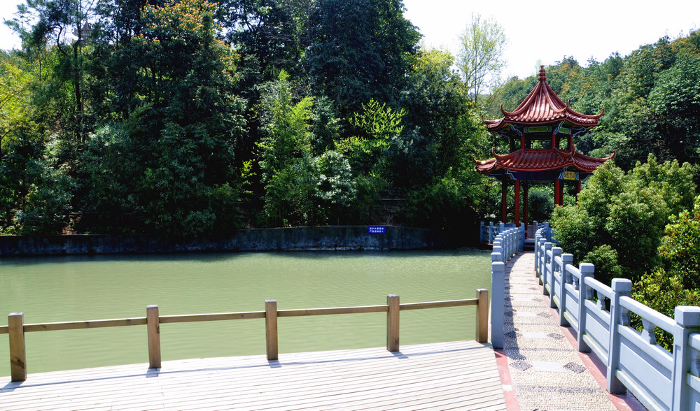DSC_0177.JPG