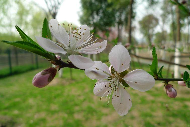 P1030738.JPG