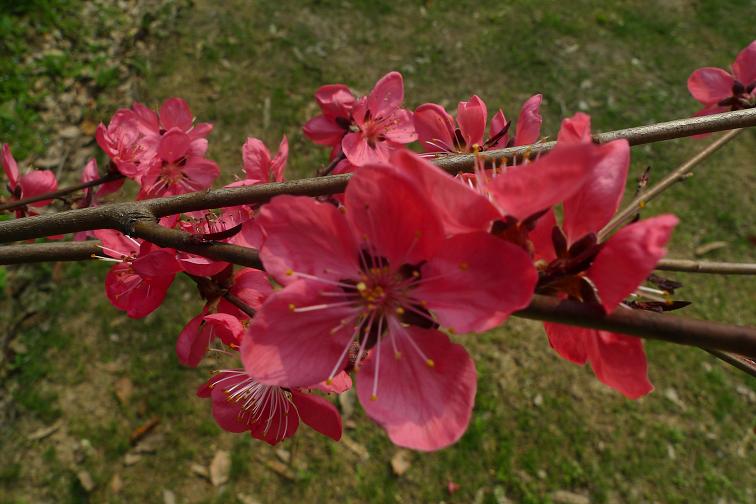 P1030717.JPG