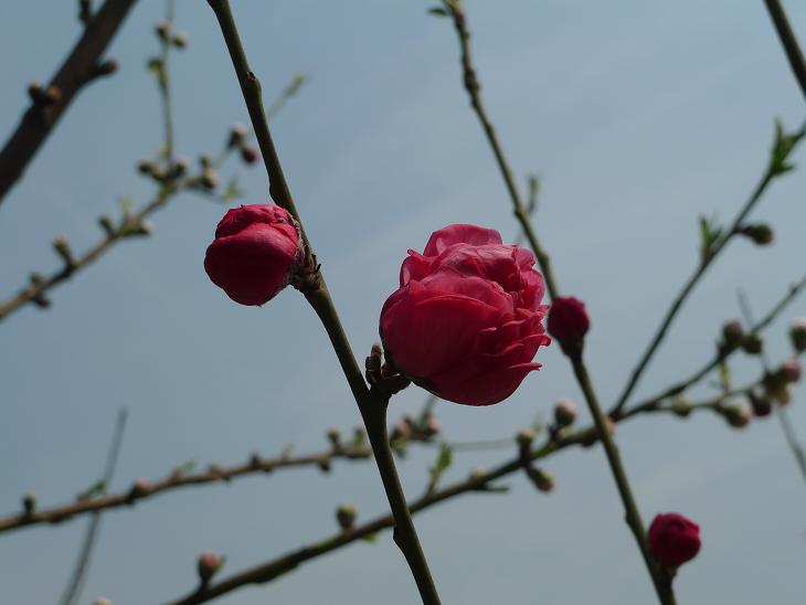 P1030634.JPG