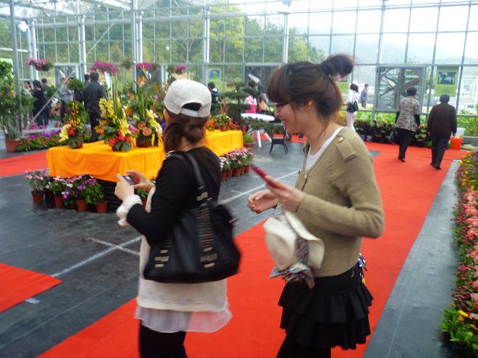 P1130727.JPG