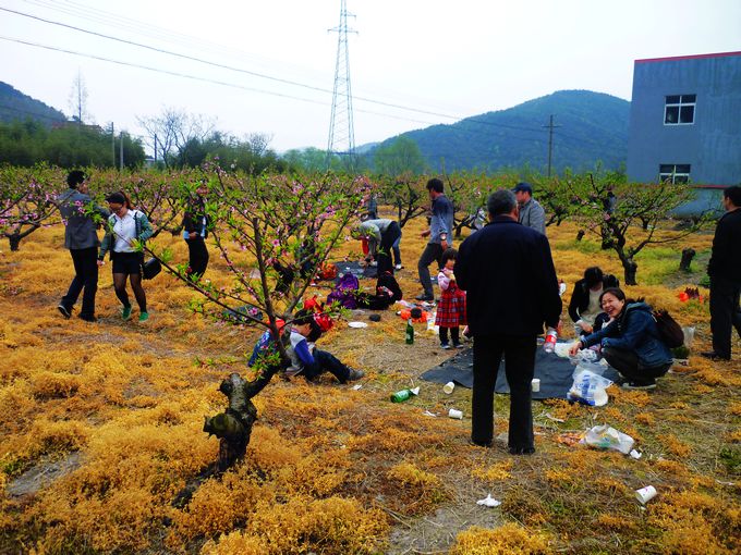 一起动手清理场地