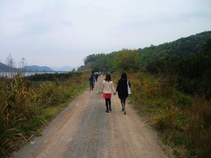 P1130830.JPG