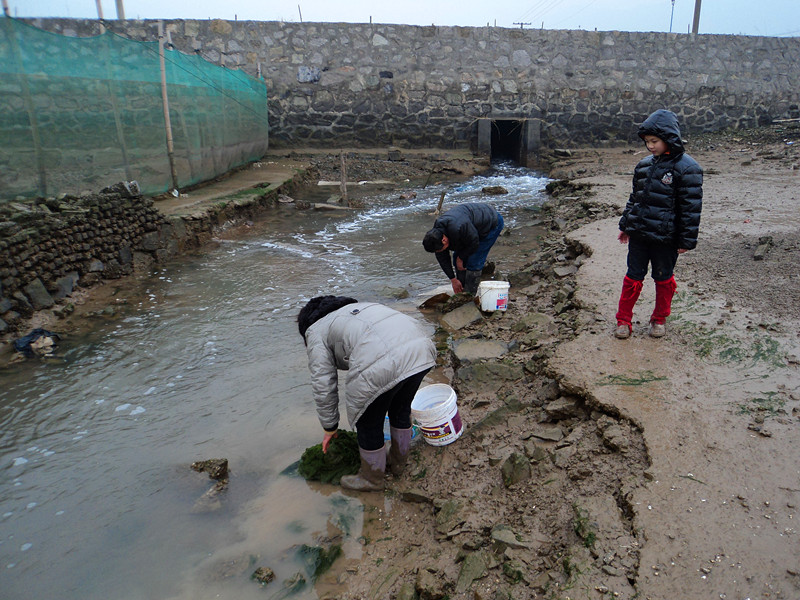 DSC02951_副本.jpg