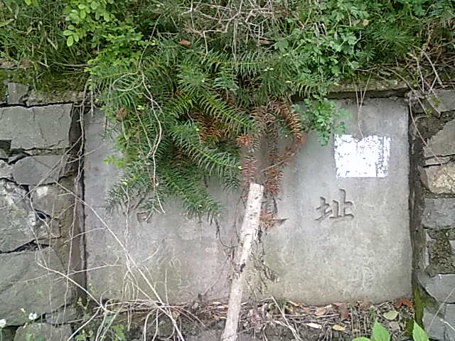 222 041.jpg