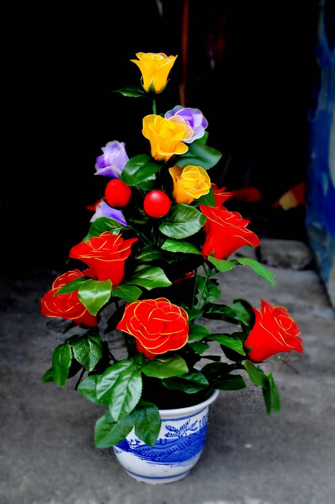 DSC_0110.JPG