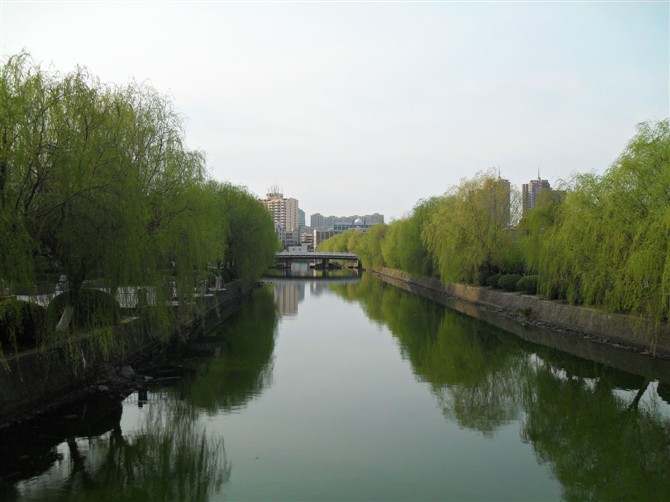 SDC12409.jpg