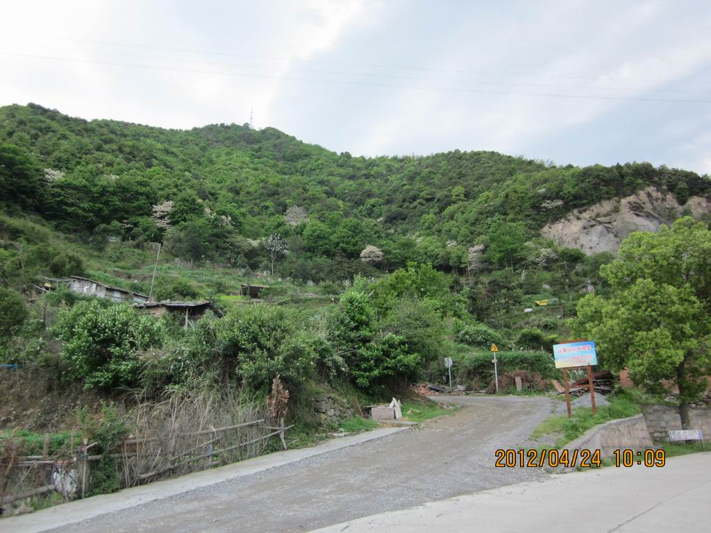 城西路.jpg