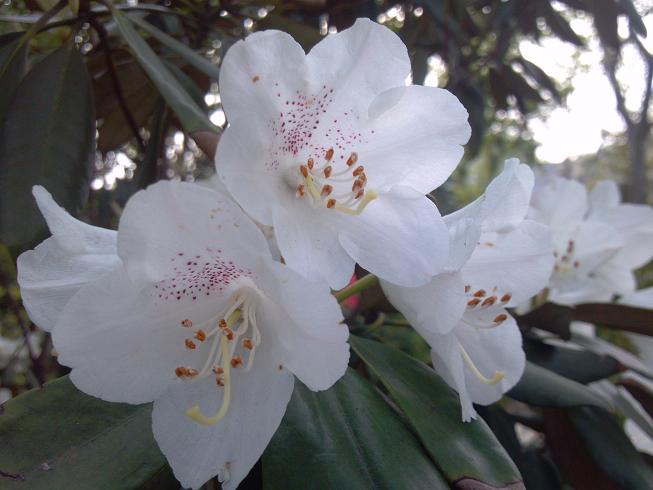 2012-04-16_16-14-25_782.jpg