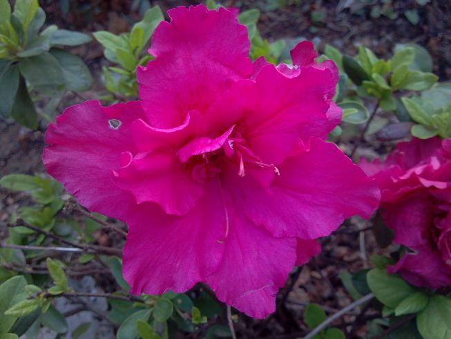 2012-04-16_16-28-25_825.jpg
