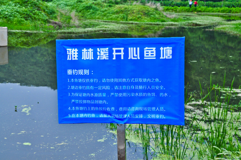 nEO_IMG_DSC_0052.jpg