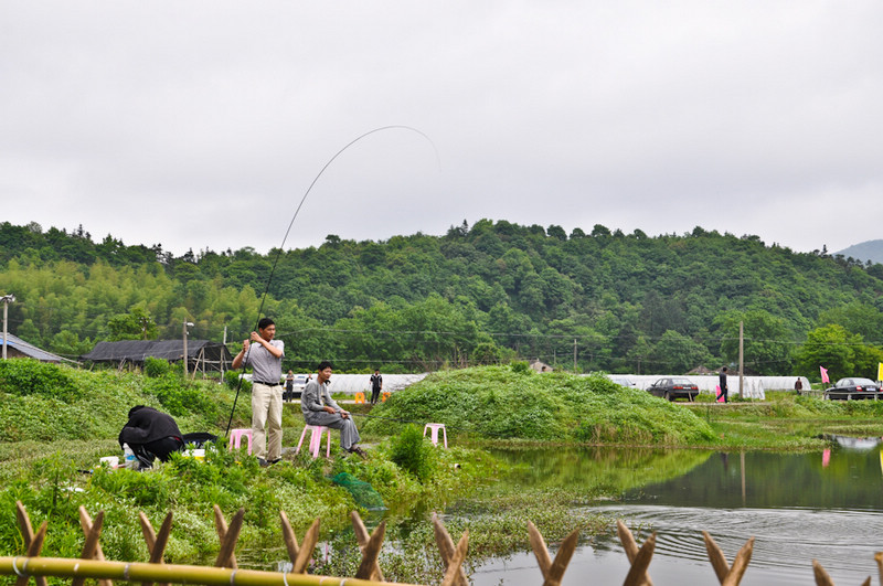 nEO_IMG_DSC_0095.jpg