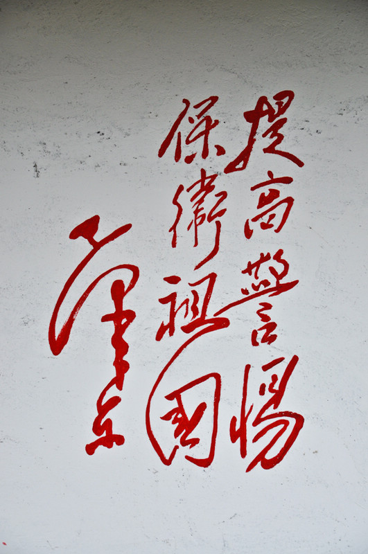 nEO_IMG_DSC_0075.jpg