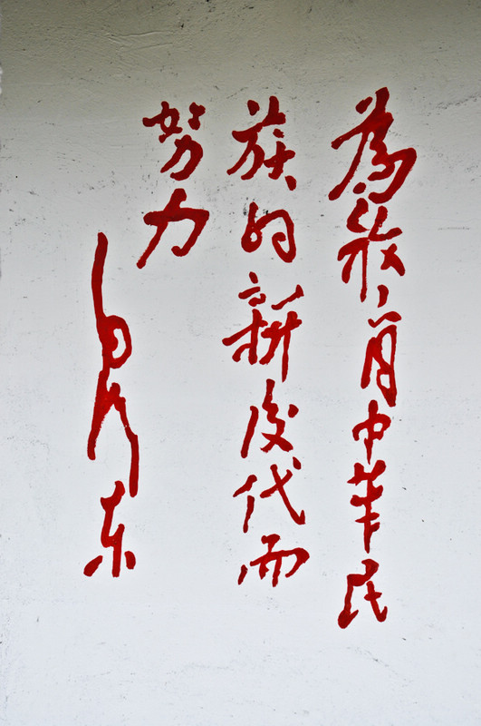 nEO_IMG_DSC_0077.jpg