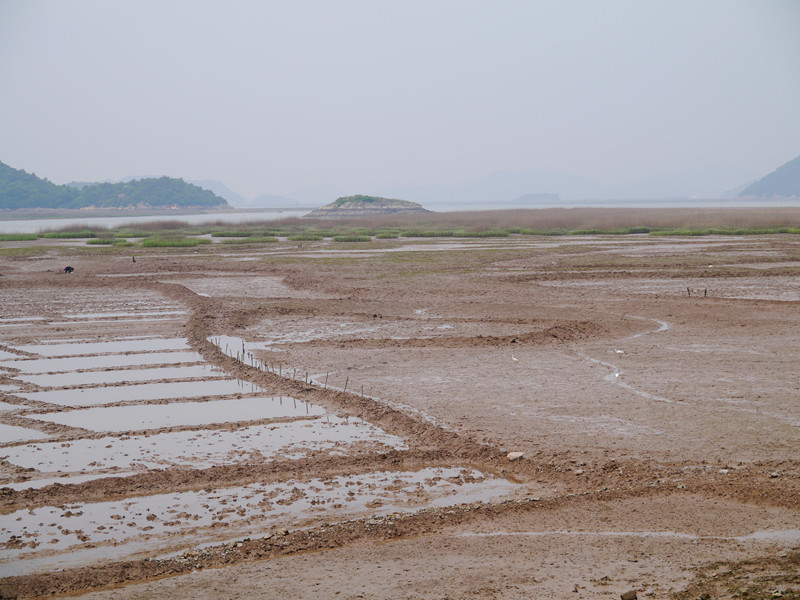 P1010963_副本.jpg