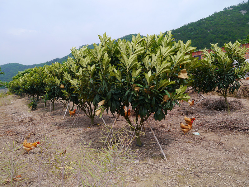 P1010961_副本.jpg