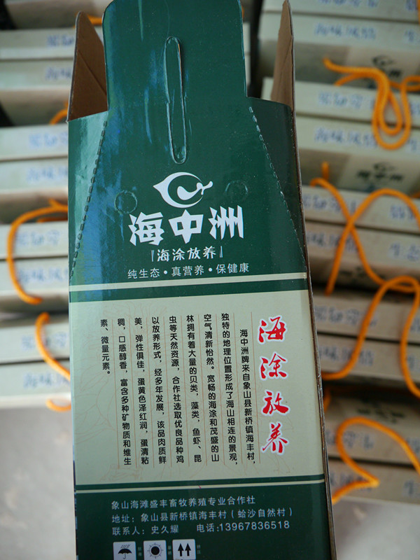 P1010968_副本.jpg