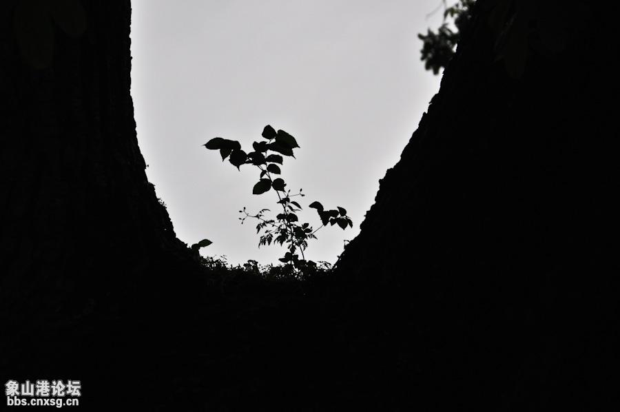 18_29110_d541859a0da96cd.jpg