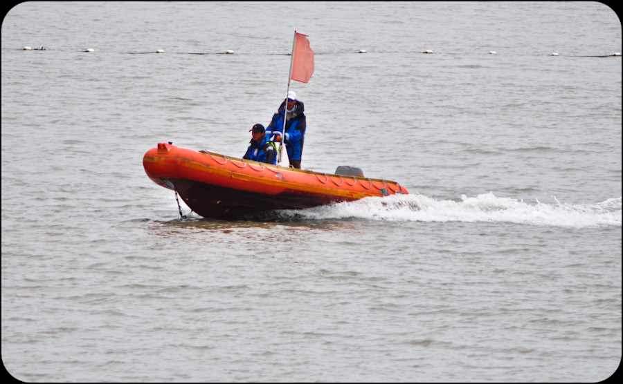 DSC_0470.jpg
