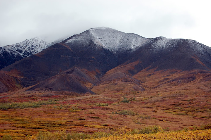 N10.jpg