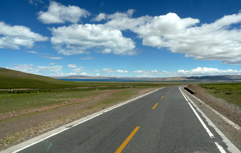 N17.jpg