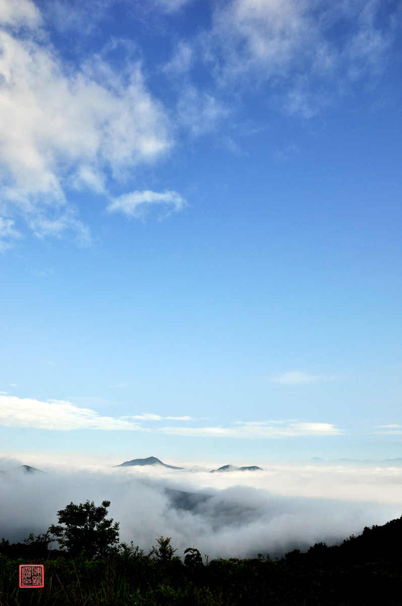 DSC_0949PSF.jpg