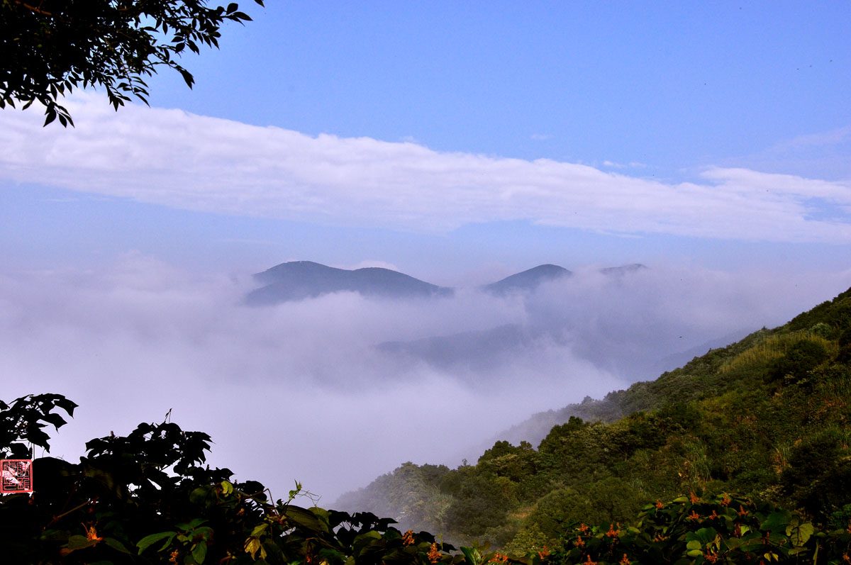 DSC_0972PSF.jpg