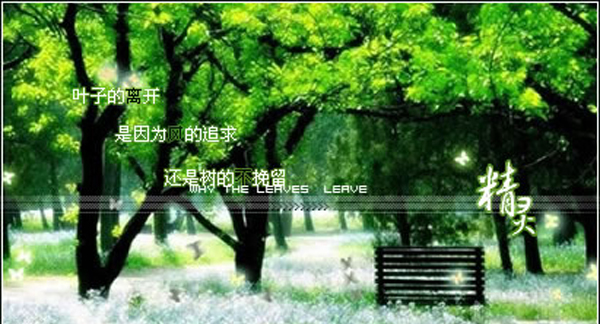 41a988ee66e3fee3b2fb9582.jpg